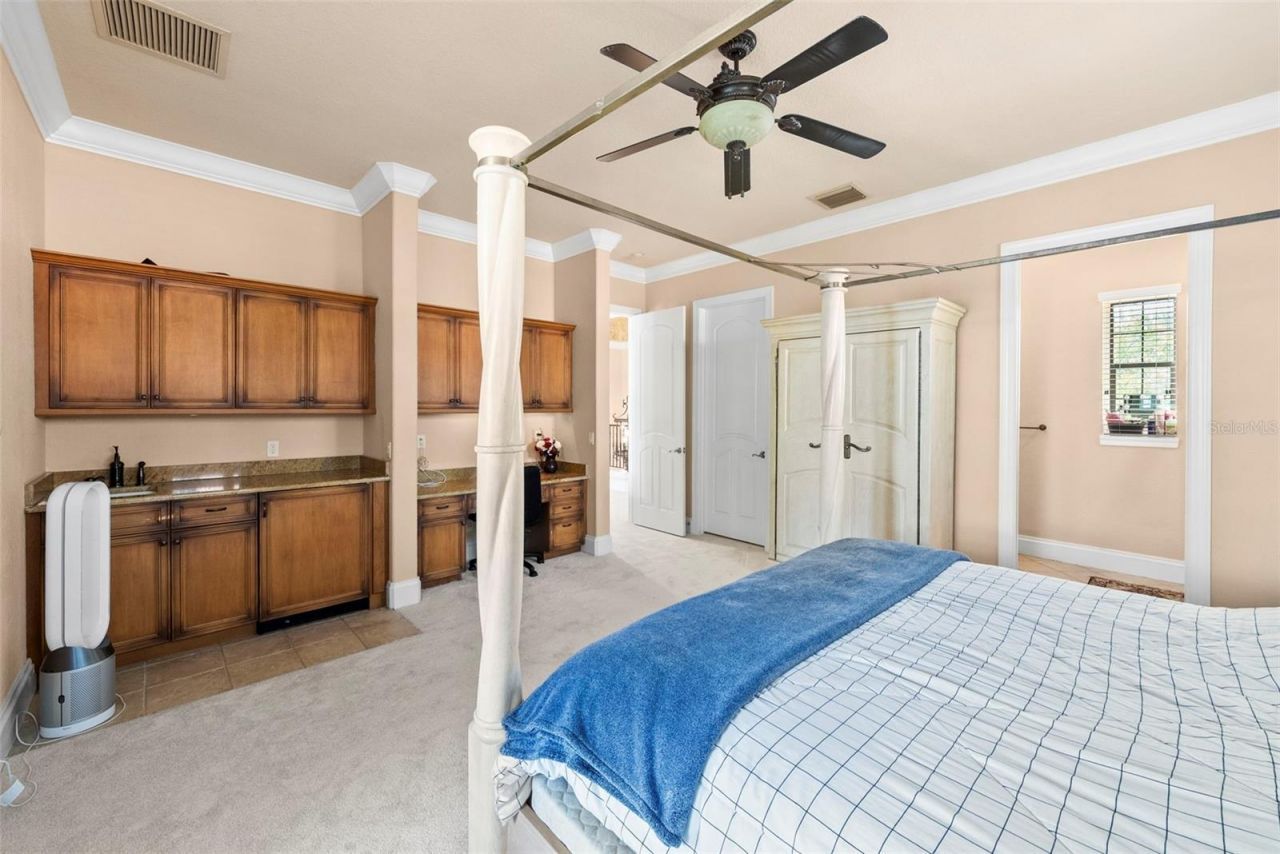 9902 Menander Wood Court, Odessa, FL 33556 Photo