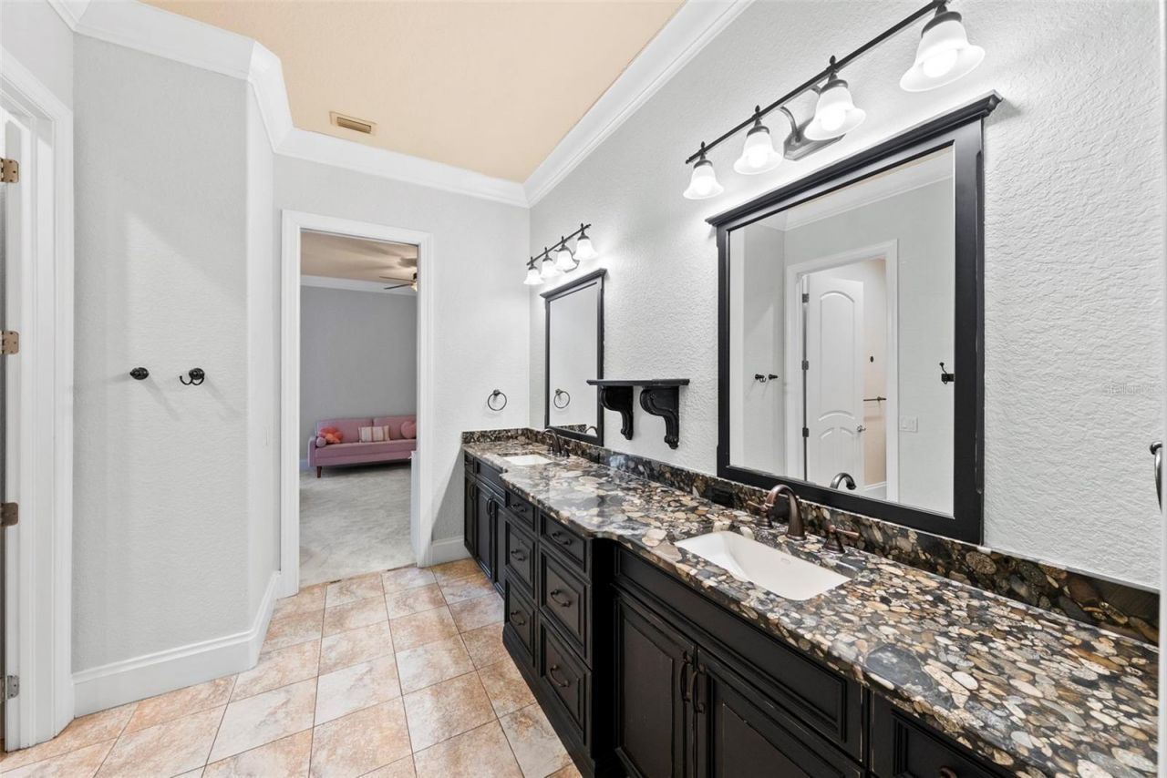 9902 Menander Wood Court, Odessa, FL 33556 Photo