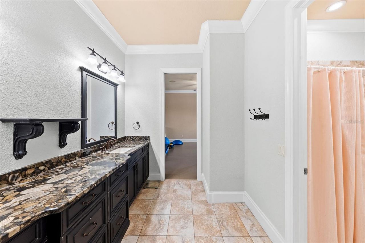 9902 Menander Wood Court, Odessa, FL 33556 Photo