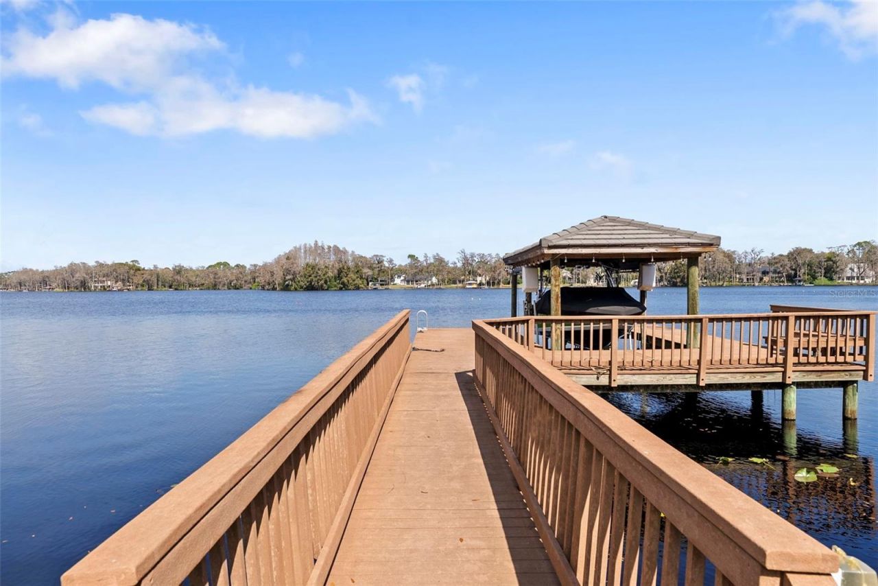 9902 Menander Wood Court, Odessa, FL 33556 Photo