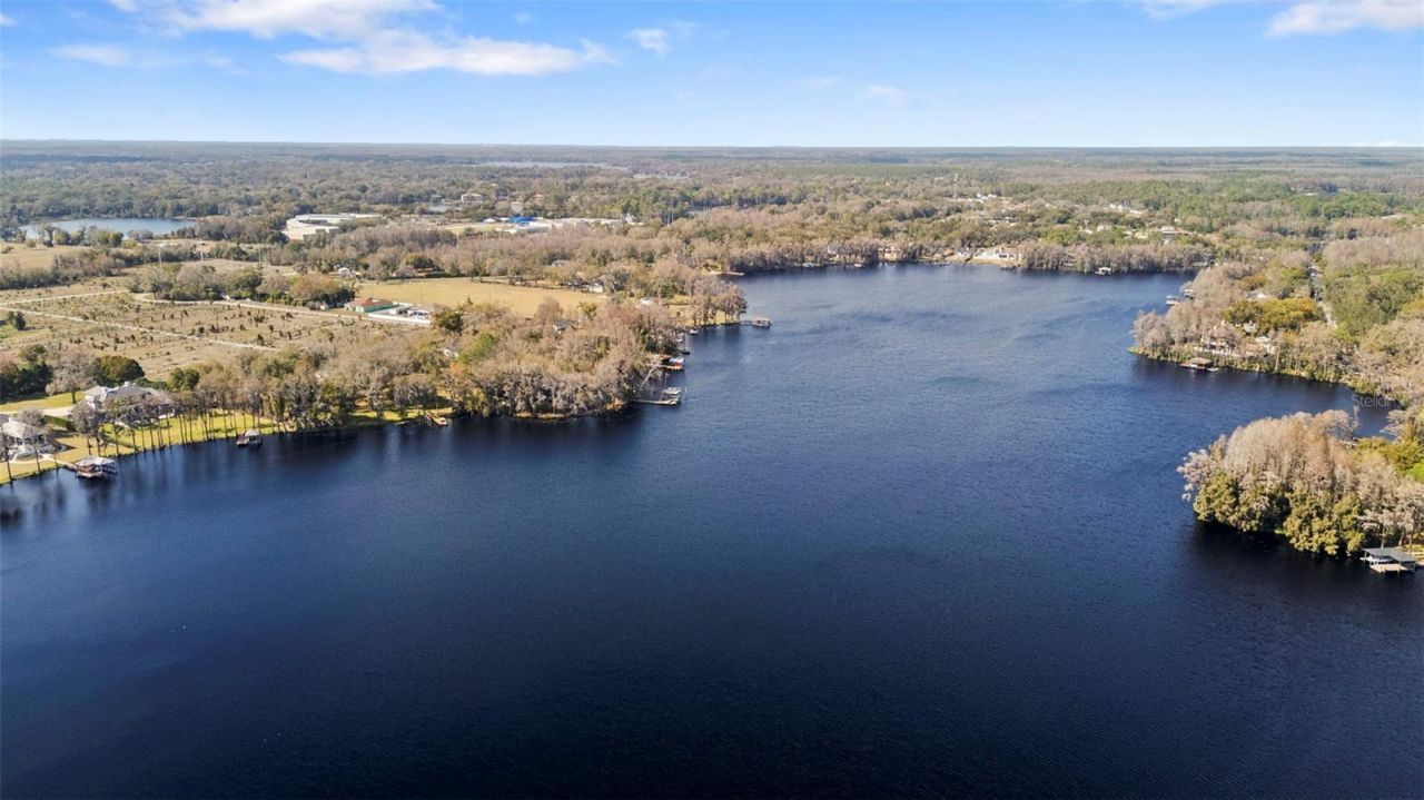 9902 Menander Wood Court, Odessa, FL 33556 Photo