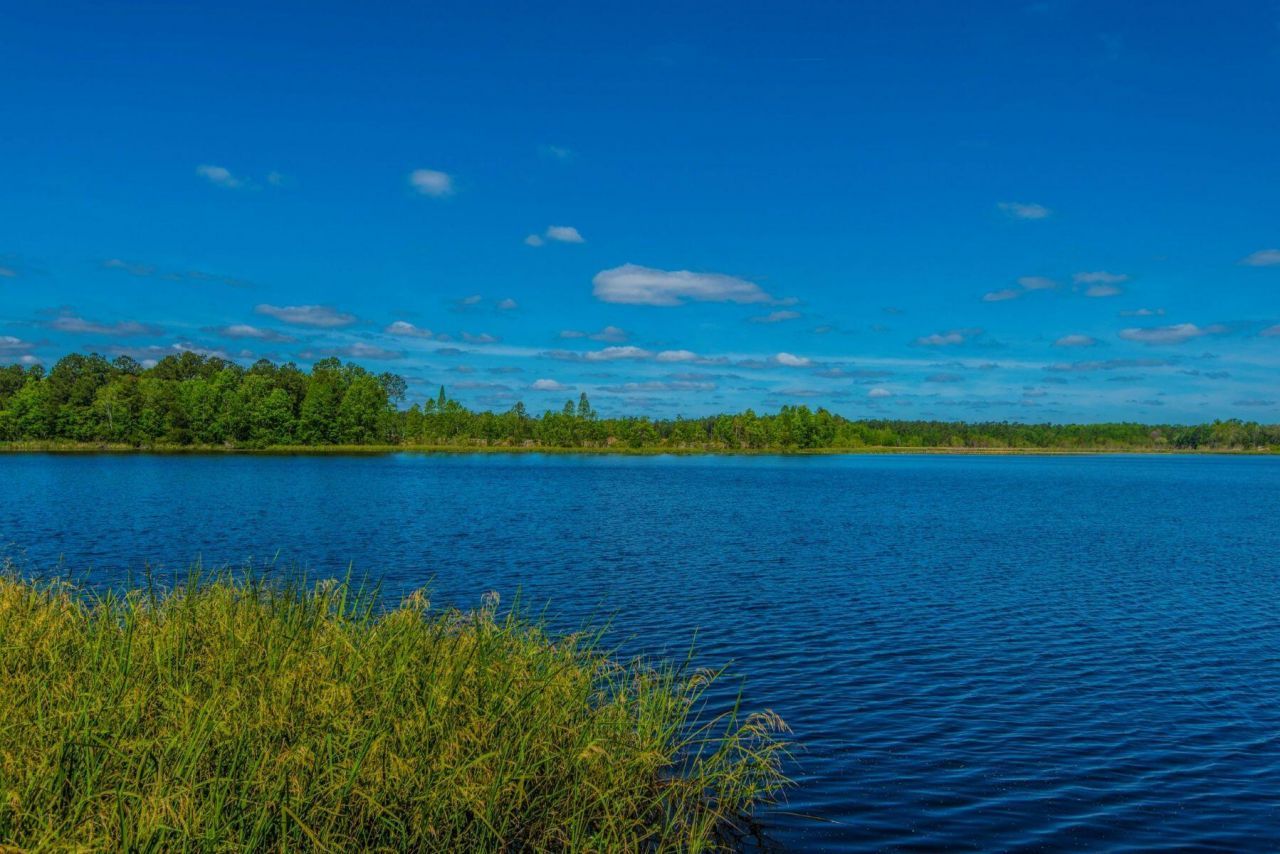 342 Fox Ridge Lane Photo 56