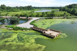 325 Bluebell Way photo 4