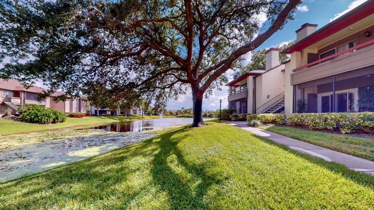 10265 Gandy Boulevard N, Unit 1302, Saint Petersburg, FL 33702 Photo