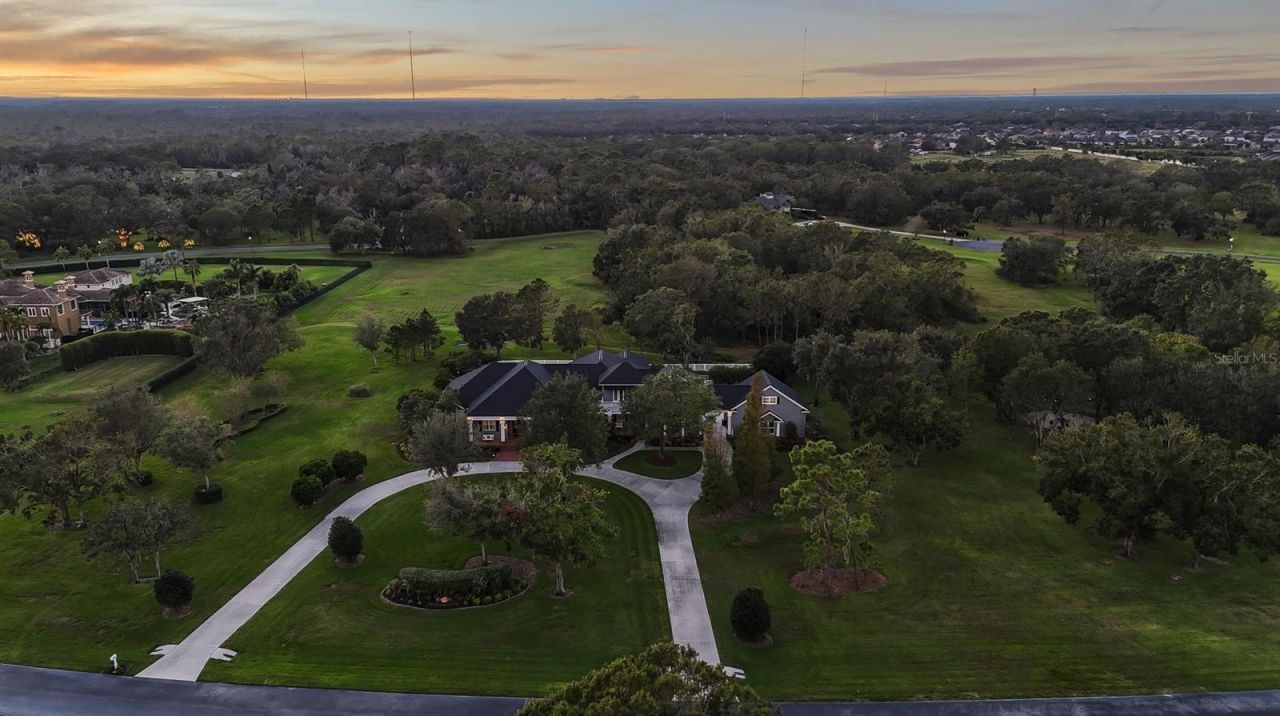 11441 Hammock Oaks Court, Lithia, FL 33547 Photo