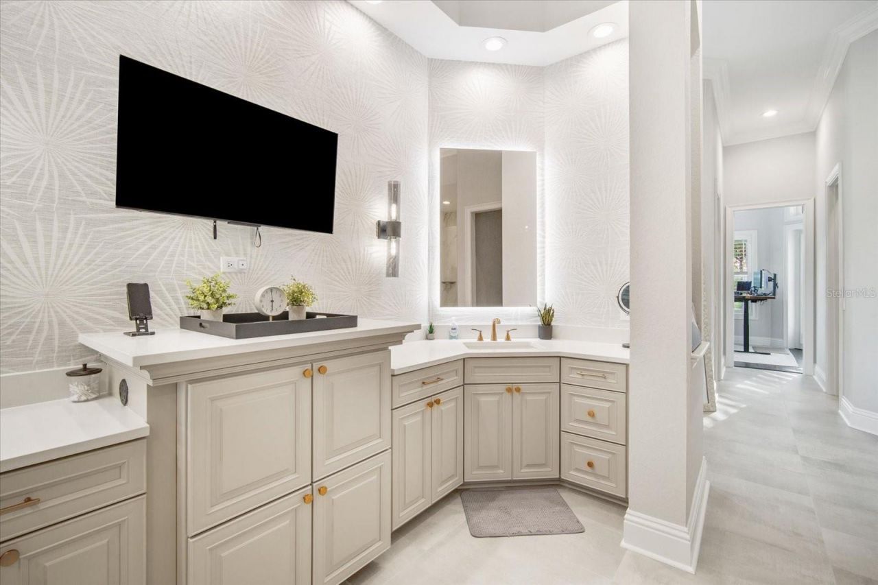 11441 Hammock Oaks Court, Lithia, FL 33547 Photo