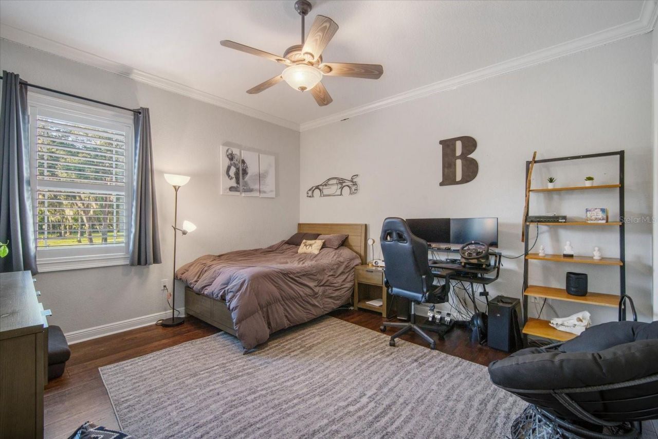 11441 Hammock Oaks Court, Lithia, FL 33547 Photo