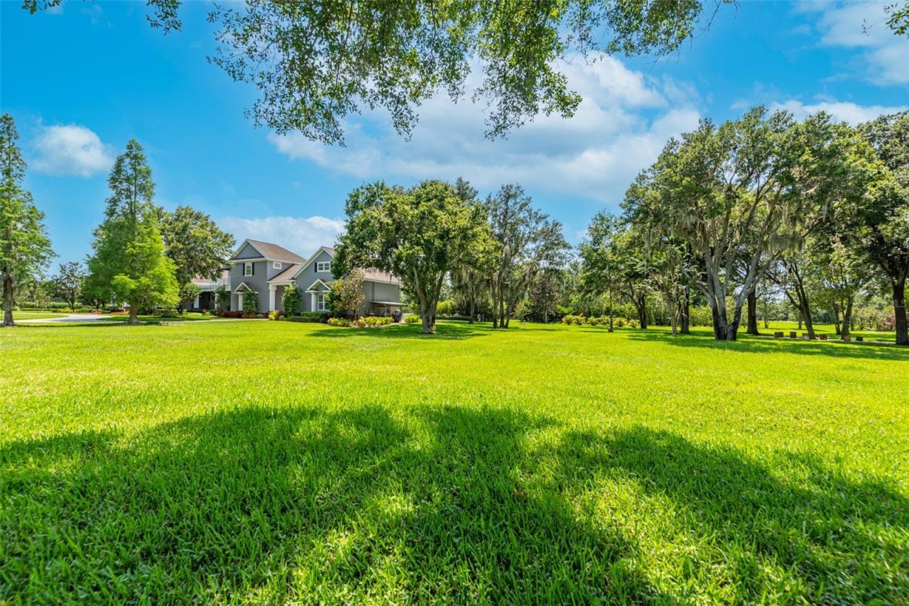 11441 Hammock Oaks Court, Lithia, FL 33547 Photo