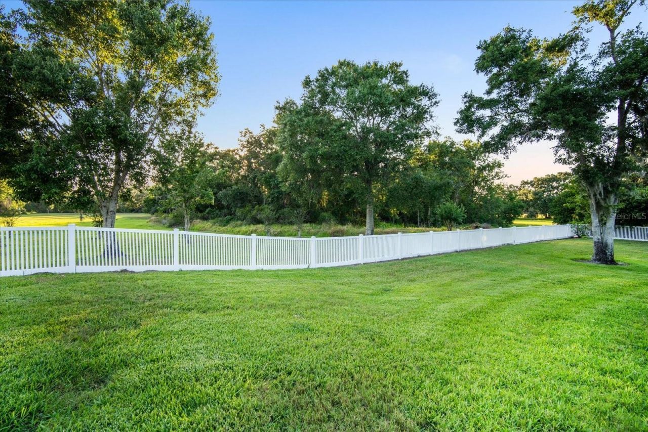 11441 Hammock Oaks Court, Lithia, FL 33547 Photo