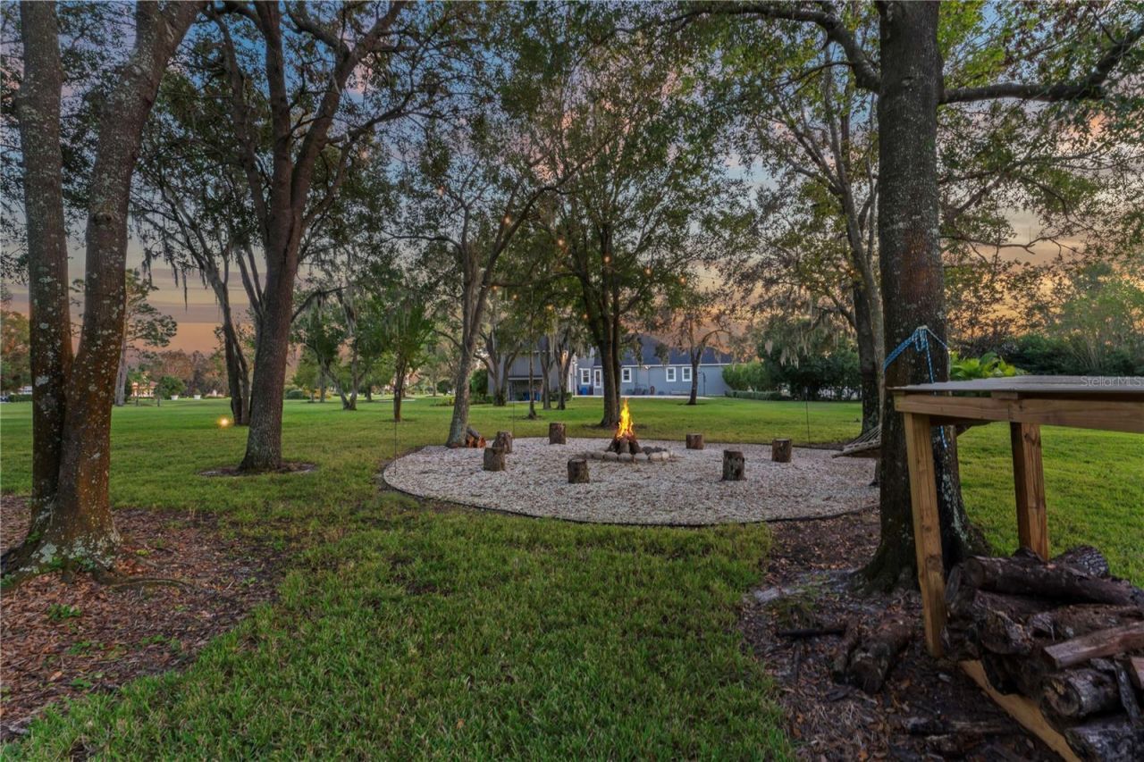 11441 Hammock Oaks Court, Lithia, FL 33547 Photo