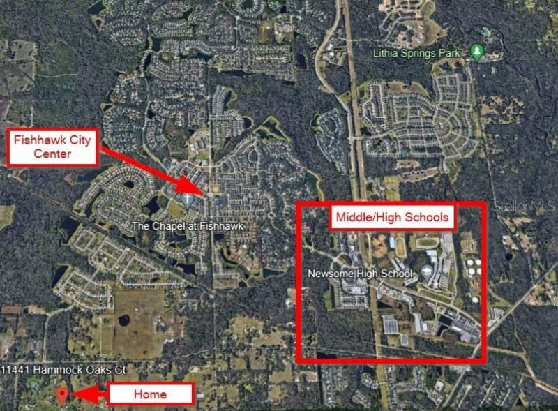 11441 Hammock Oaks Court, Lithia, FL 33547 Photo