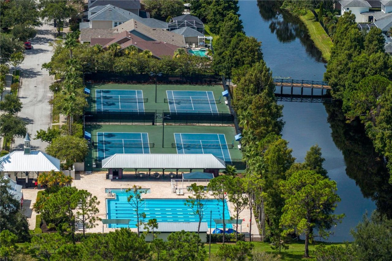 9904 Tate Lane, Westchase, FL 33626 Photo