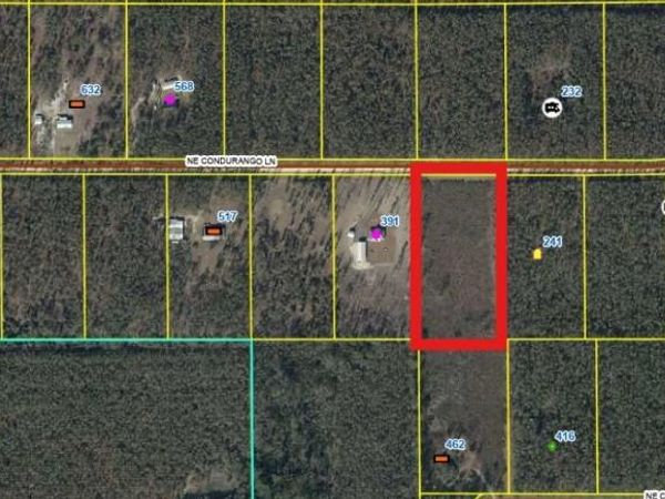 462 NE CALABAZILLA TRAIL, LEE, FL 32059