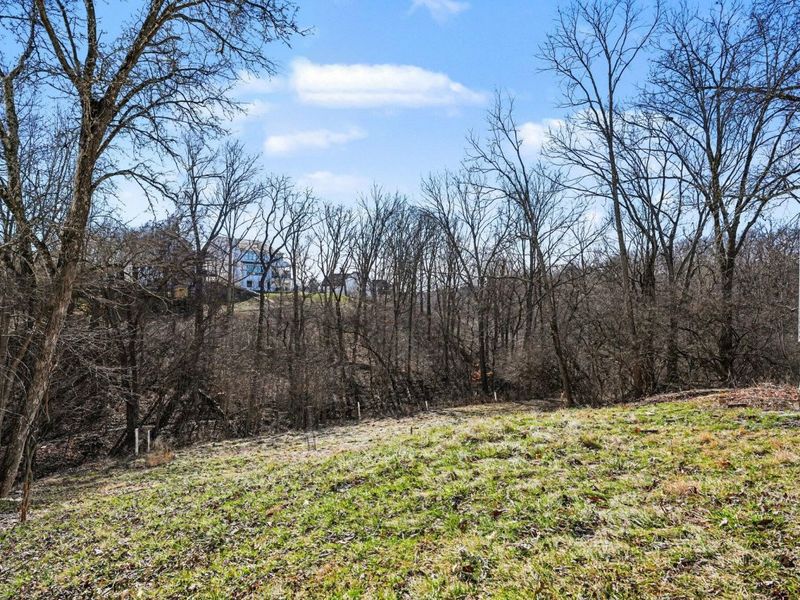 18 Anthony Lane, Fort Mitchell, KY 41017 Photo 30