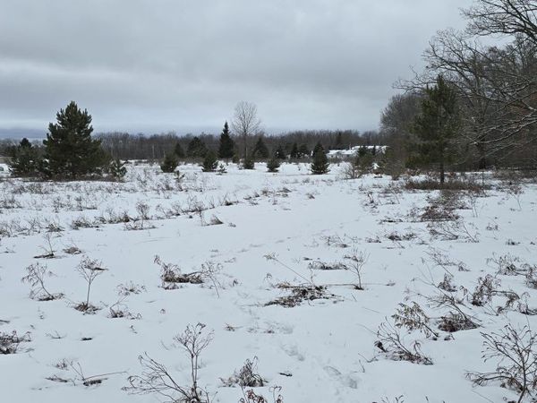 V/L 22.12A Country Village Lane, Roscommon, MI 48653