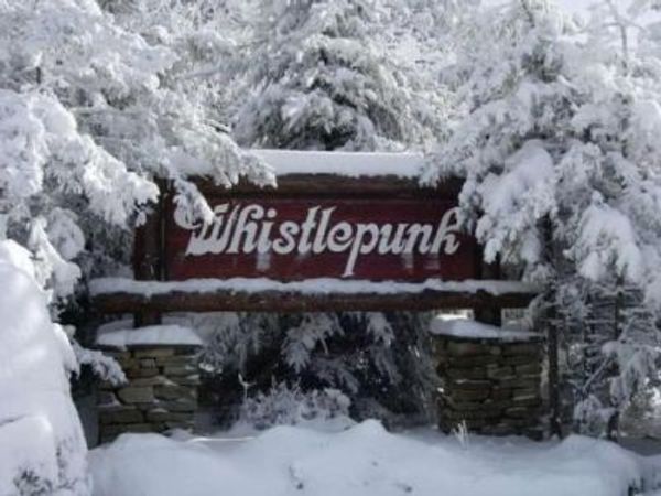 38 Whistlepunk Lane, Snowshoe, WV 26209