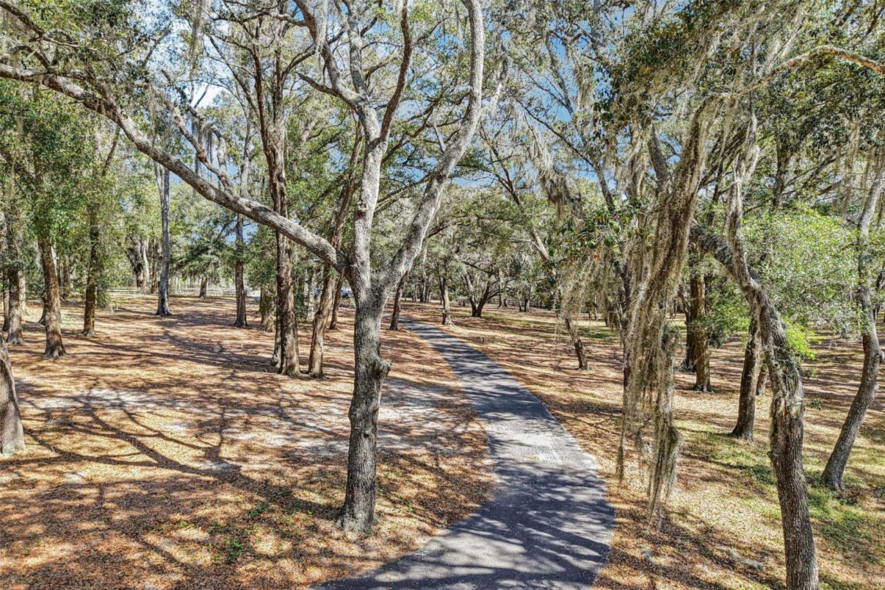 36530 Lazy B Lane, Eustis, FL 32736 Photo