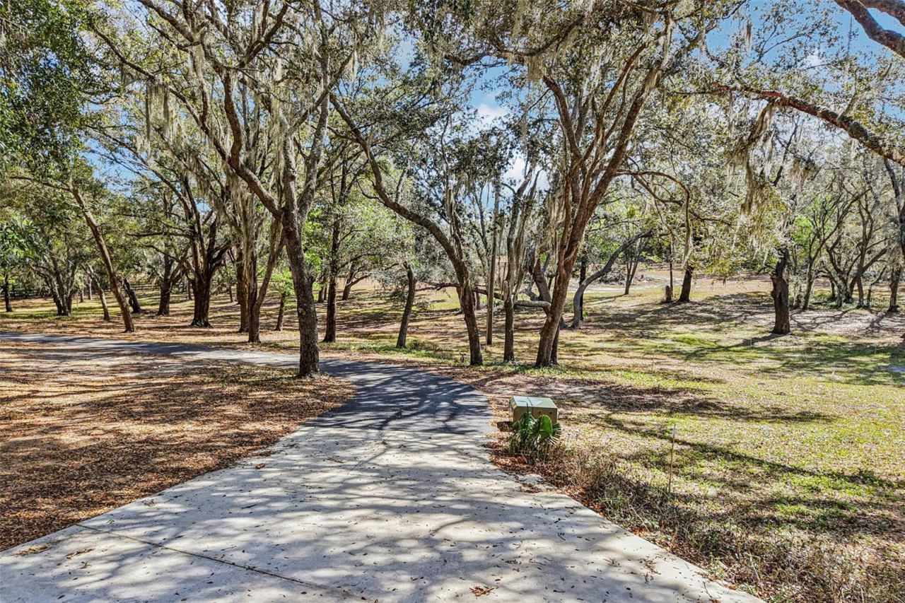 36530 Lazy B Lane, Eustis, FL 32736 Photo