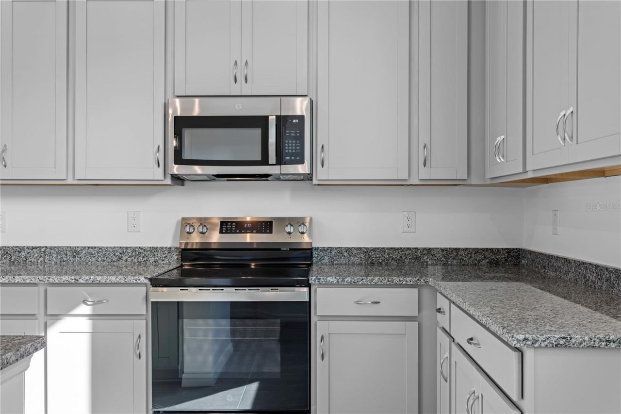 9906 Tate Lane, Westchase, FL 33626 Photo