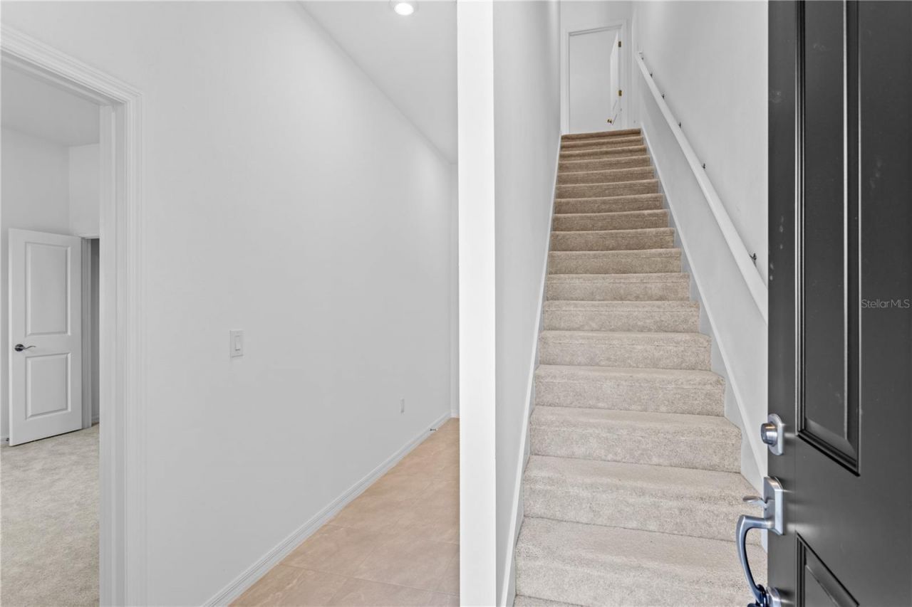 9906 Tate Lane, Westchase, FL 33626 Photo