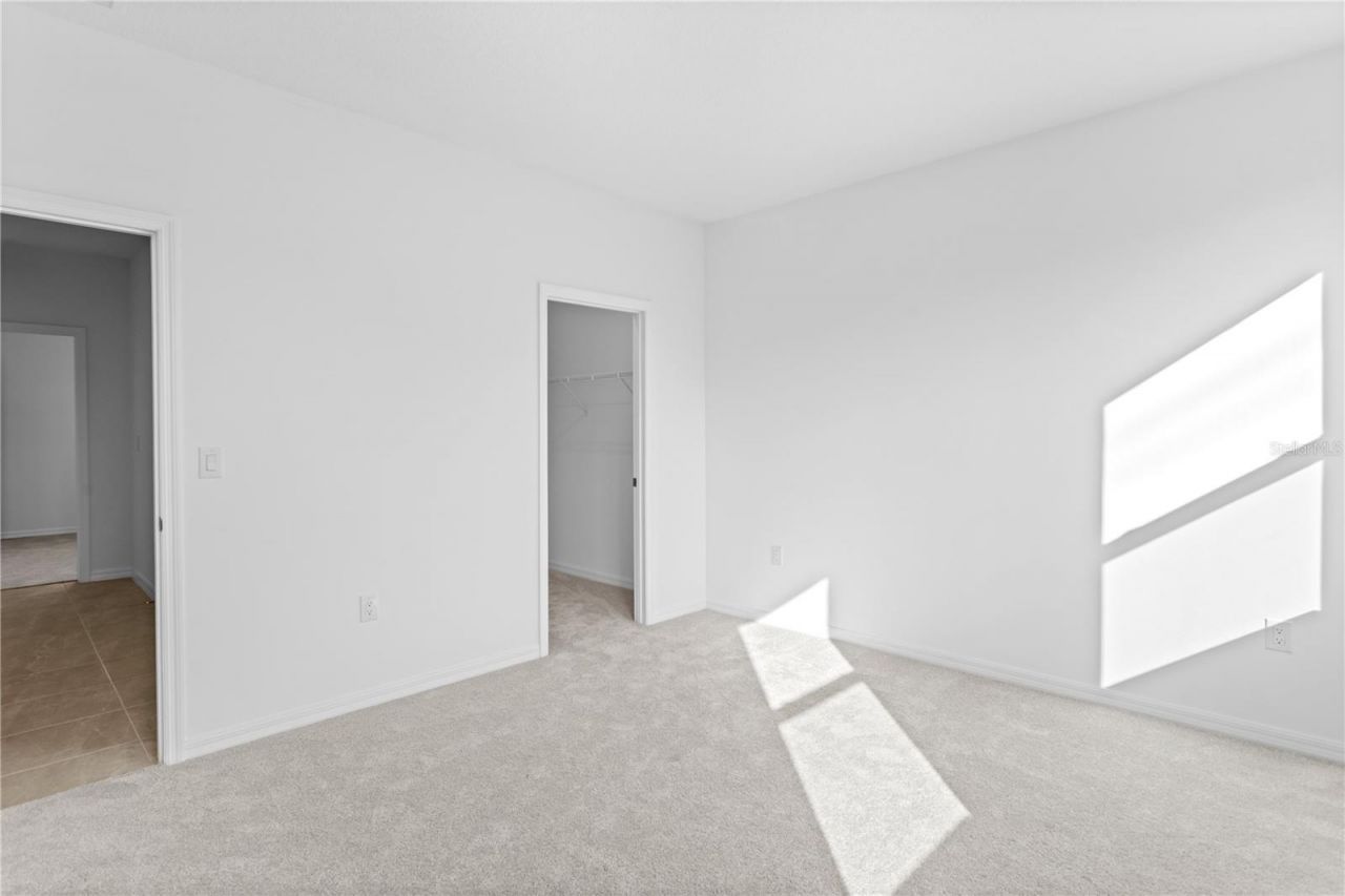 9906 Tate Lane, Westchase, FL 33626 Photo