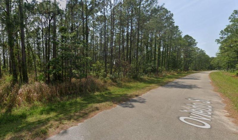 8931 Oviedo Street, Sebring, FL 33872 Photo