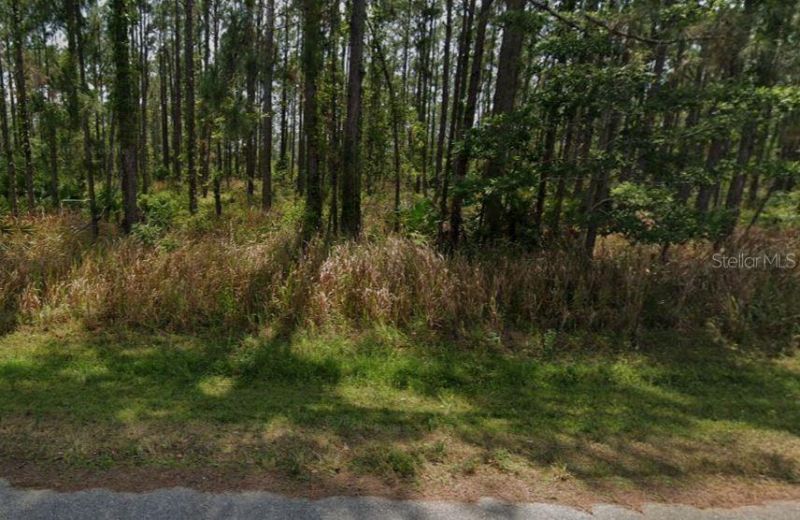 8931 Oviedo Street, Sebring, FL 33872 Photo