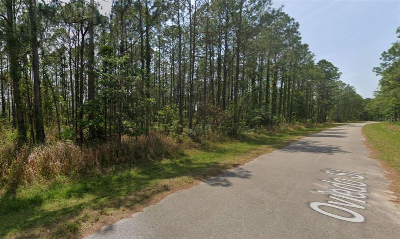 8931 Oviedo Street, Sebring, FL 33872 Photo