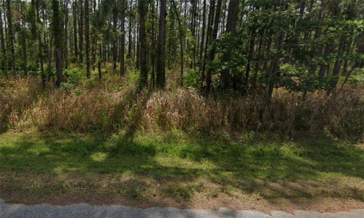 8931 Oviedo Street, Sebring, FL 33872 Photo