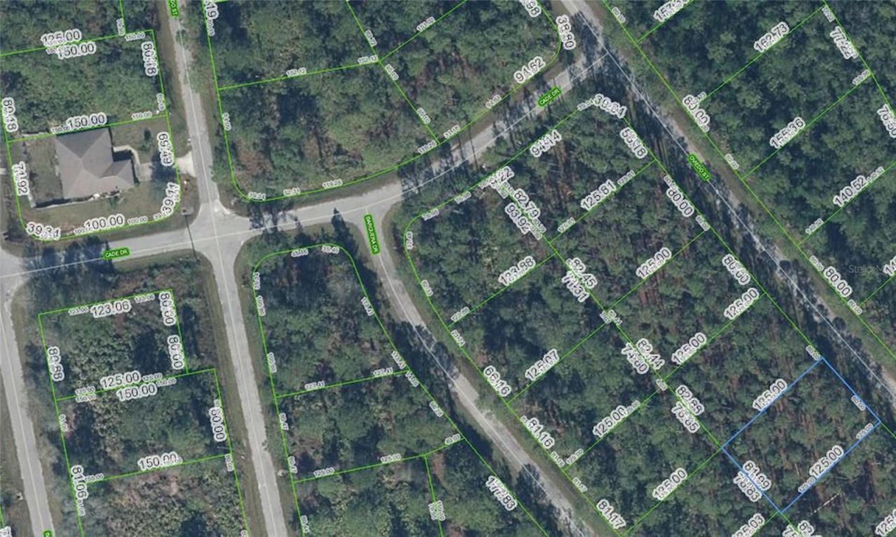 8931 Oviedo Street, Sebring, FL 33872 Photo