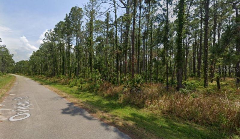 8931 Oviedo Street, Sebring, FL 33872 Photo