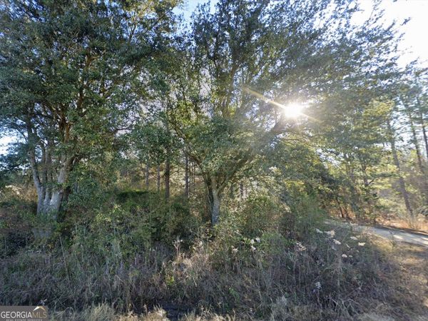 0 Lambert Lane, Sylvester, GA 31791