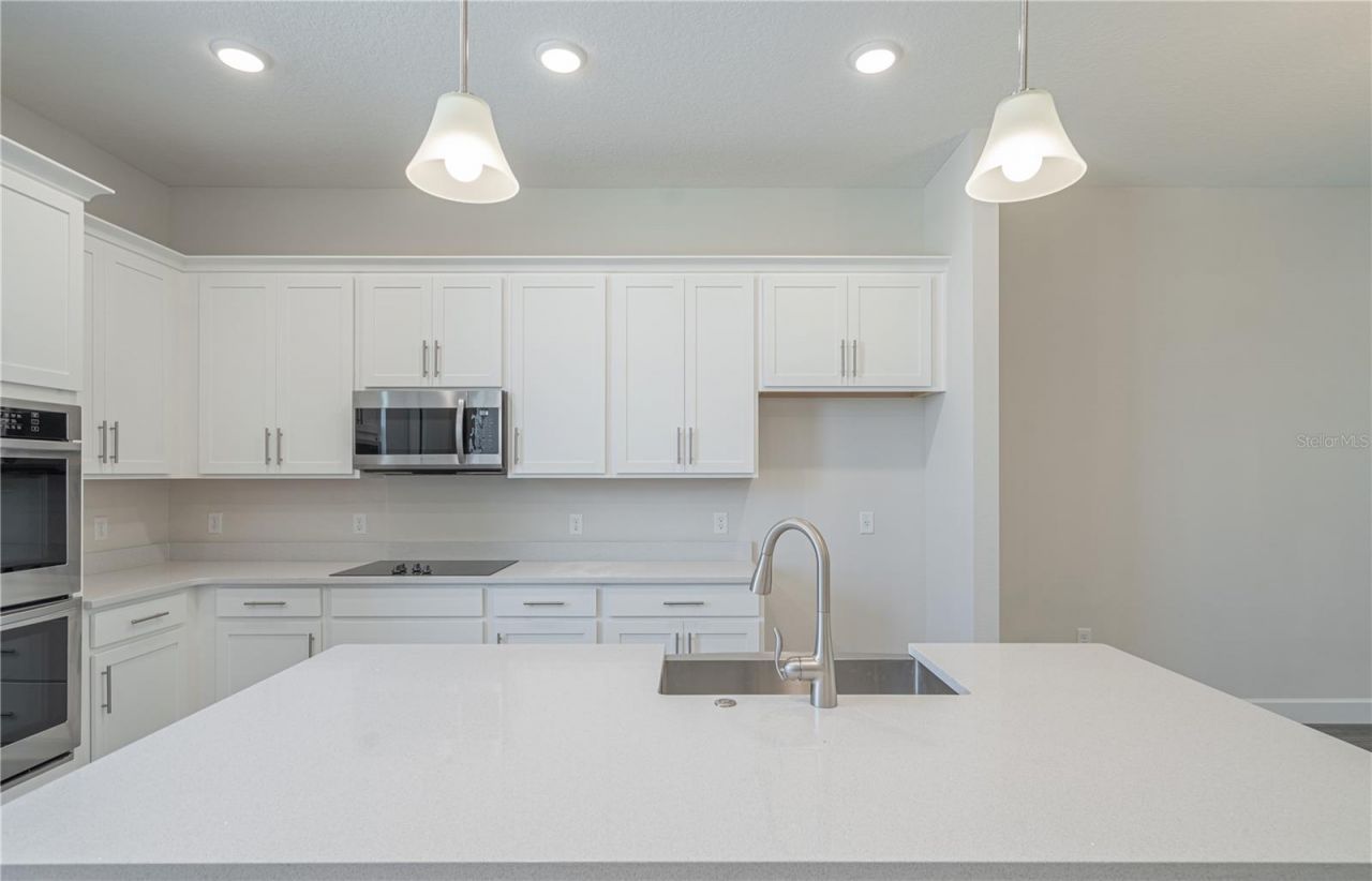 9908 Tate Lane, Westchase, FL 33626 Photo