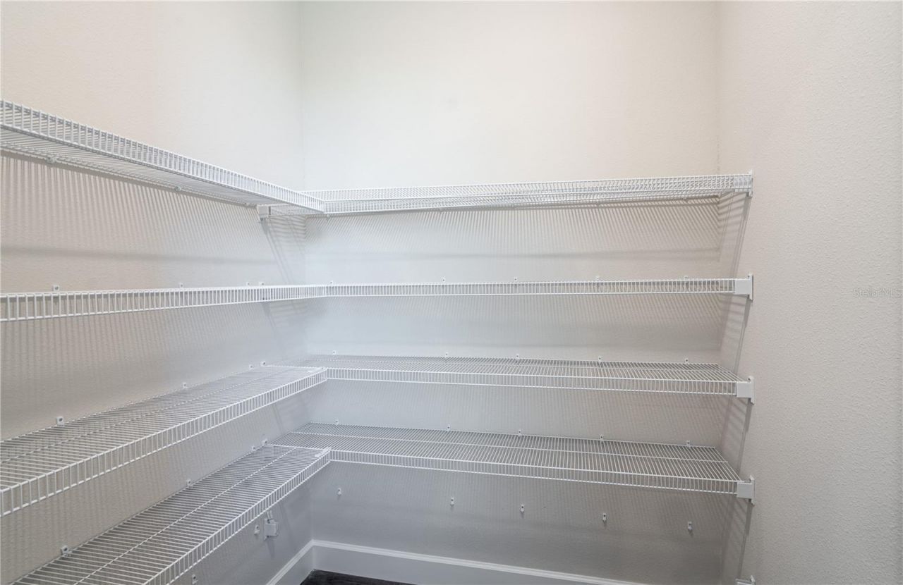 9908 Tate Lane, Westchase, FL 33626 Photo