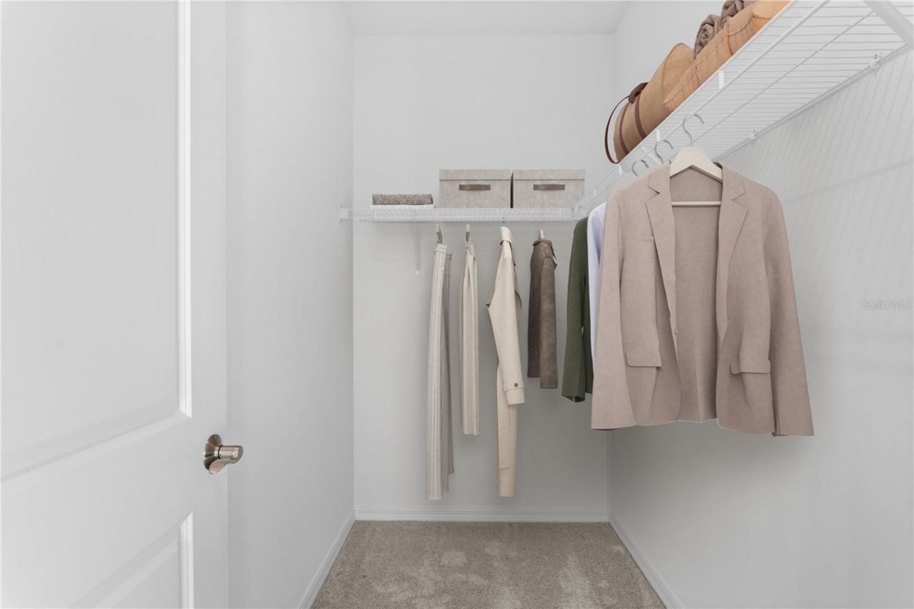 9908 Tate Lane, Westchase, FL 33626 Photo