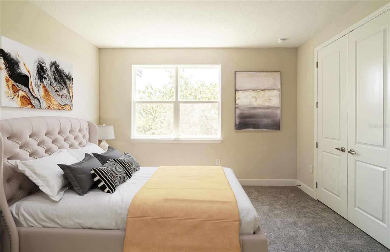 9908 Tate Lane, Westchase, FL 33626 Photo