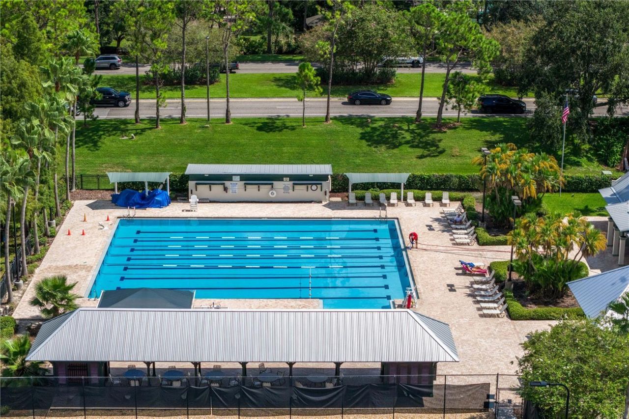 9908 Tate Lane, Westchase, FL 33626 Photo