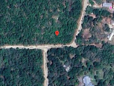 NE TRESTLE DR, MAYO, FL 32066