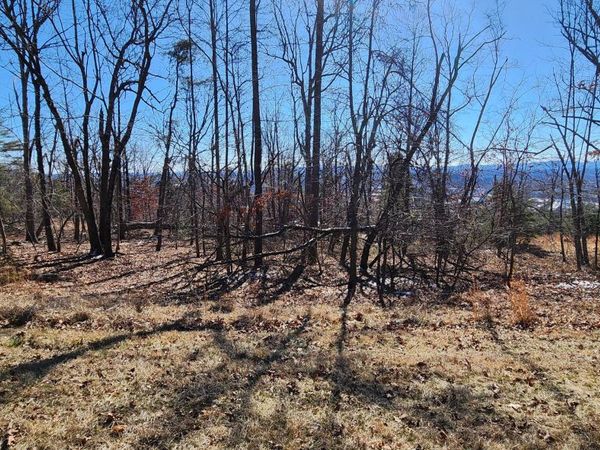 Lot 47 Summit DR, Rocky Mount, VA 24151