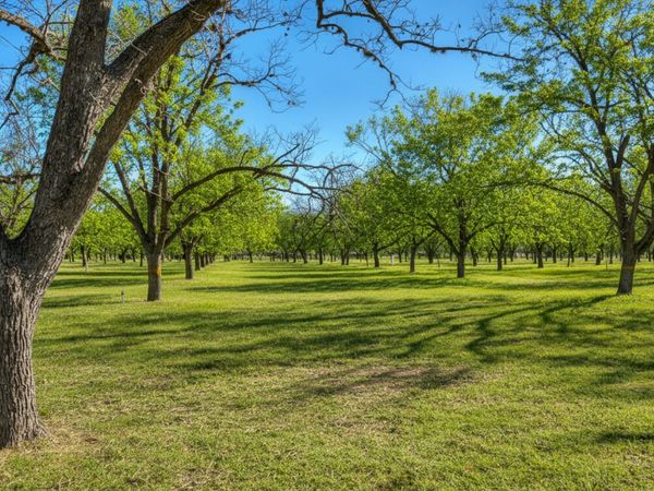 429 Johnny Seibert Ln, Leakey, TX 78873