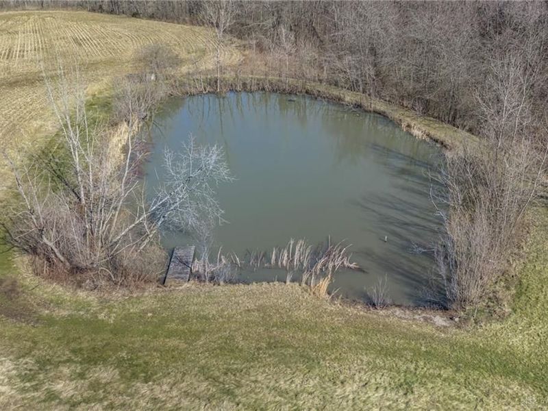 3546 New Burlington Road, Chester Township, OH 45177 Photo 23