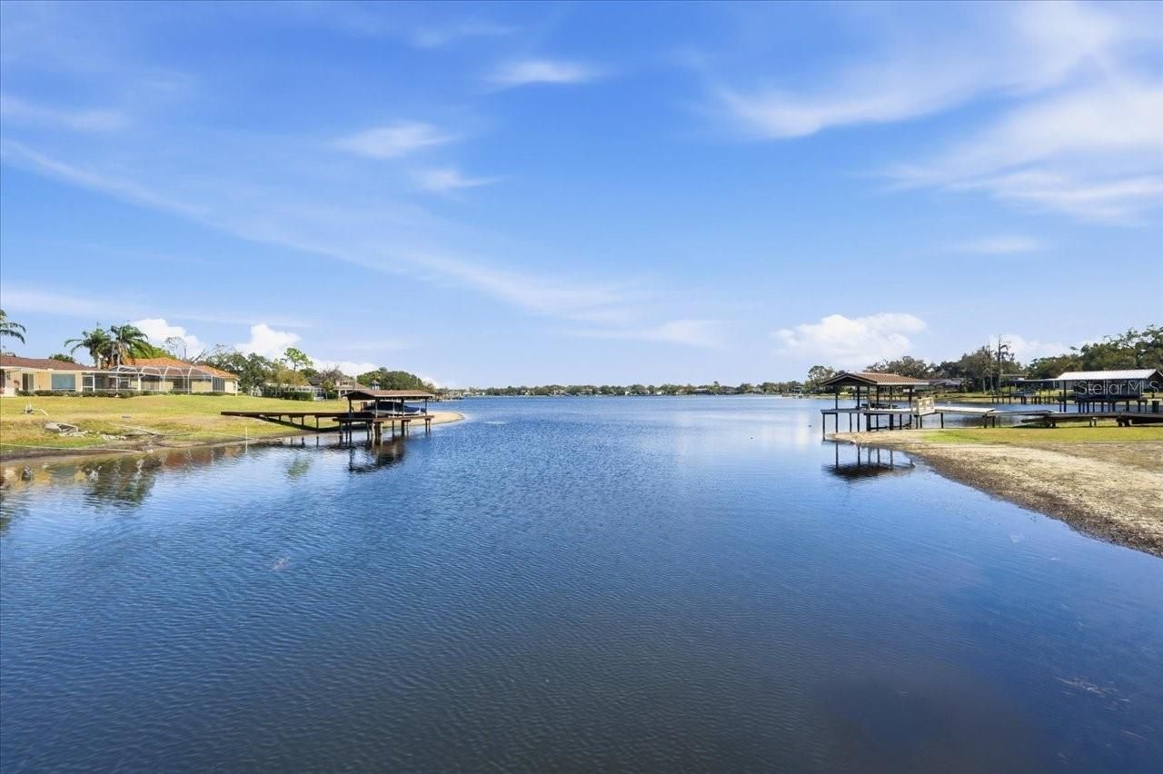 10705 Carrollwood Drive, Tampa, FL 33618 Photo