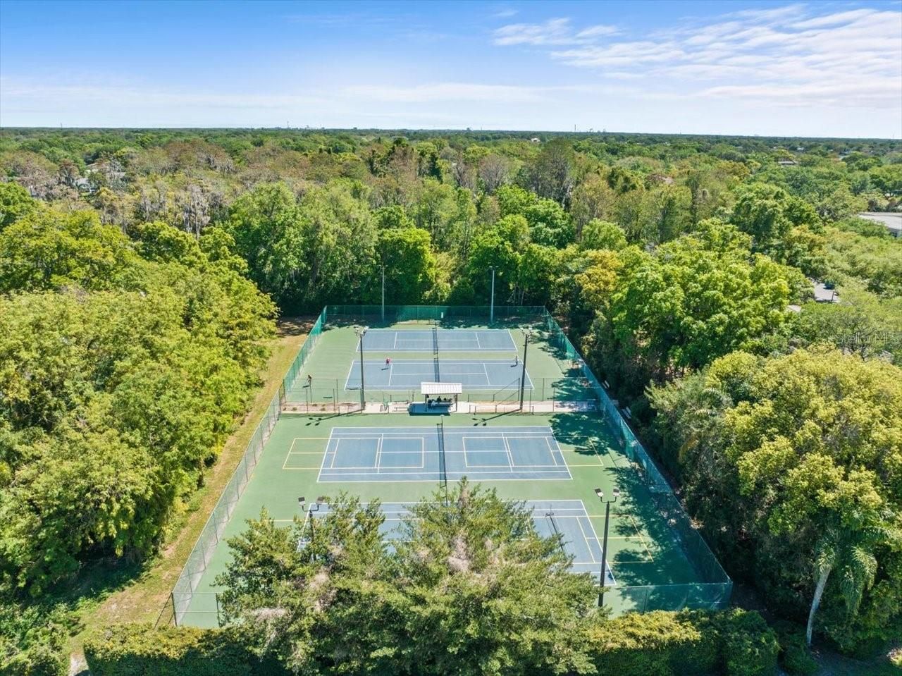 10705 Carrollwood Drive, Tampa, FL 33618 Photo