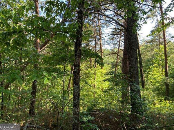 1335 Birch Lane, Ranger, GA 30734