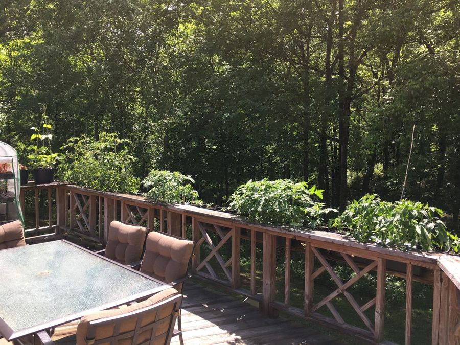 Property Image 8