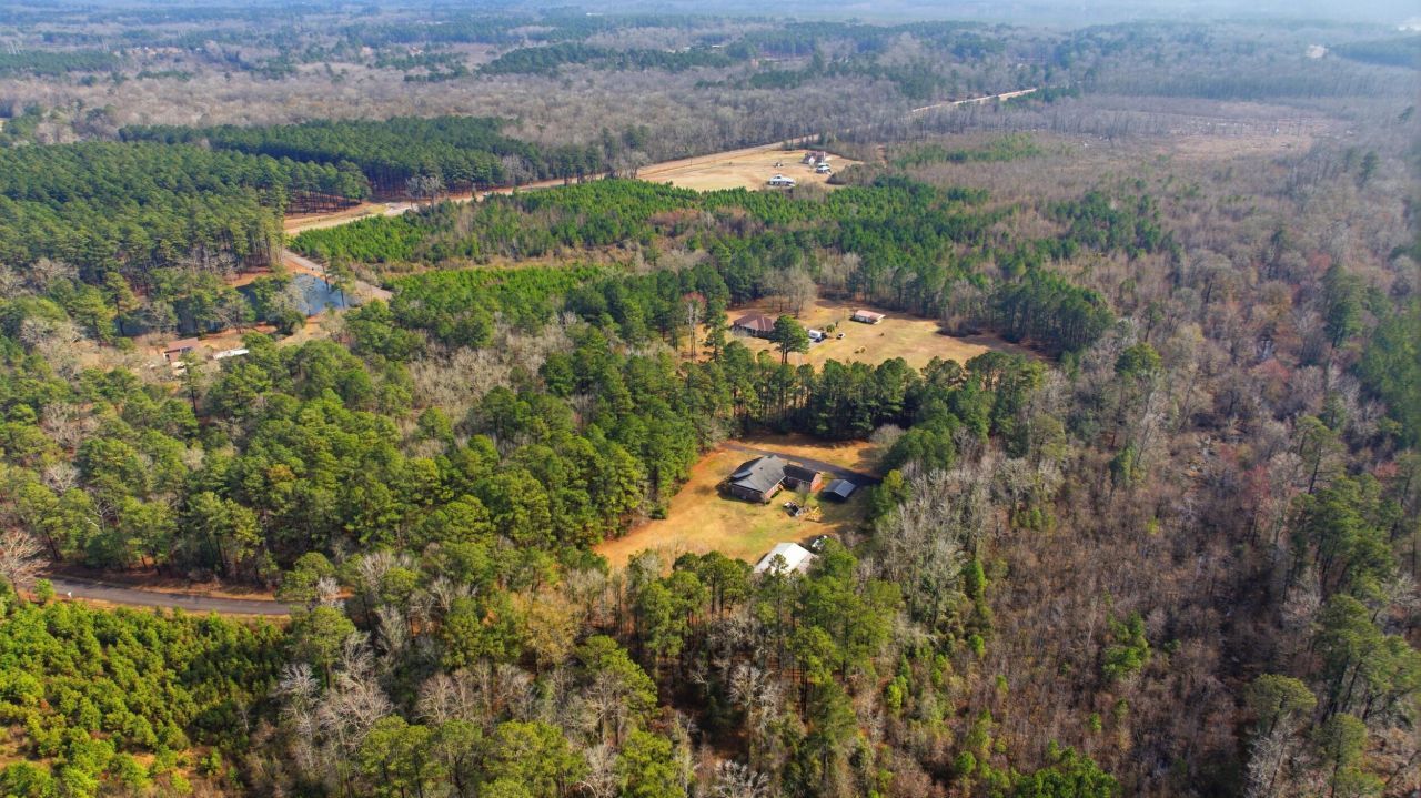 169 Belton Drive Photo 7