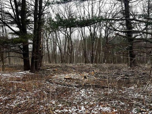 MOUNT VISTA ROAD, Mosinee, WI 54455