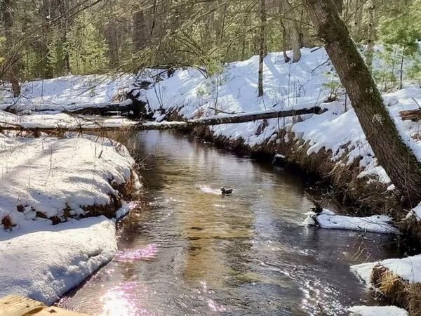 3833 E Creek Wood Drive, Chase, MI 49623