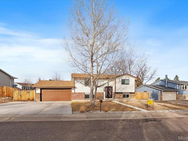 181 Dianna Drive, Lone Tree, CO 80124