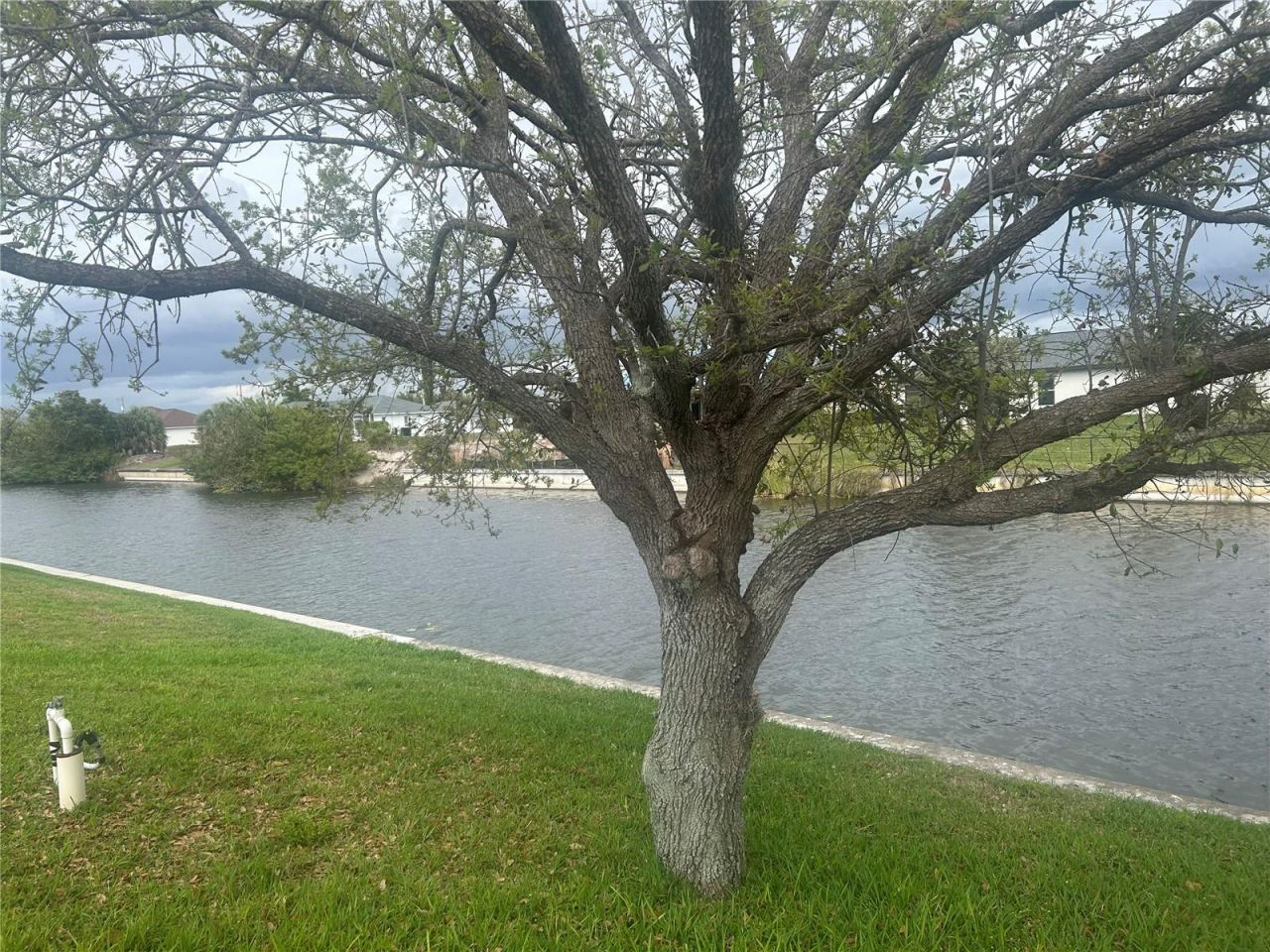 3525 SW 8th Court Sw, Cape Coral, FL 33914 Photo